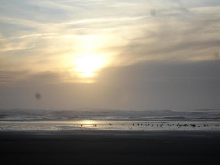 Robin Lindley's album, Cover Photos