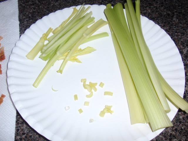 Julia English's album, THE MOTHER'S CHICKEN SALAD RECIPE