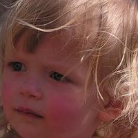 Mark Roberts' album, Profile Pictures