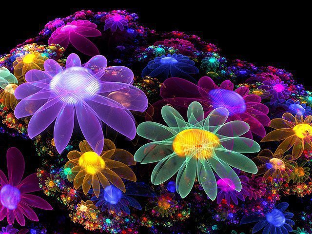 Thomas Mizer's album, Timeline Photos