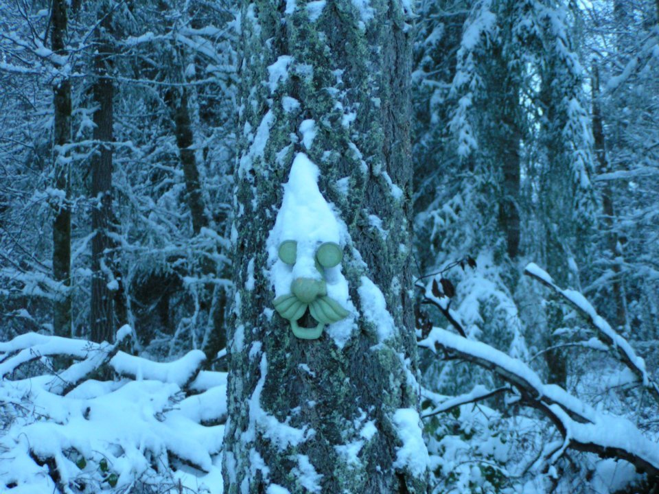 Sharon Worthington's album, Winter of 2012