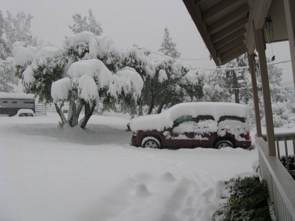 Roger Latimer's album, Snow