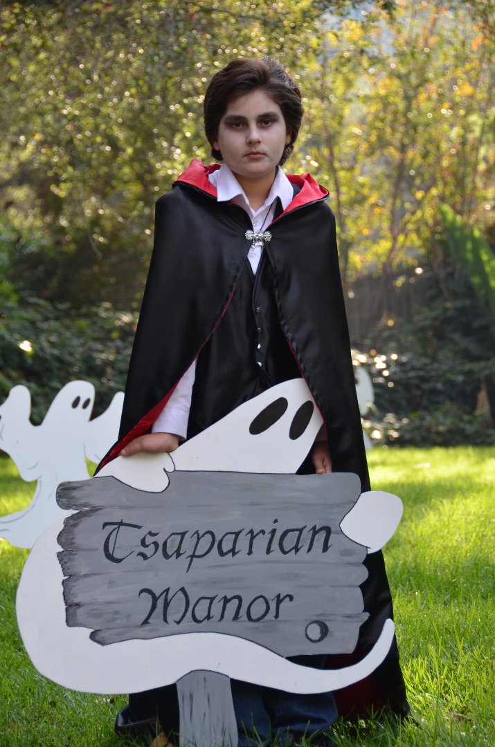 Lori Tsaparian's album, Profile Pictures