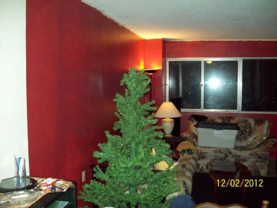Patrick O'Quinn's album, My Newly Painted LivingRoom Did My Self