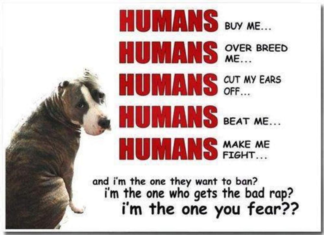 Daniel Sicinski's album, Timeline Photos