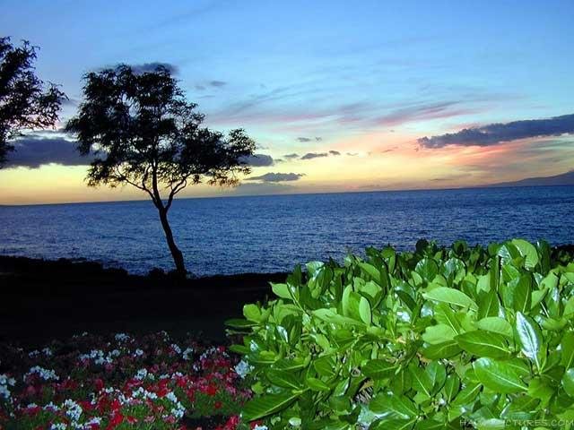 Steve Roman's album, Cover Photos