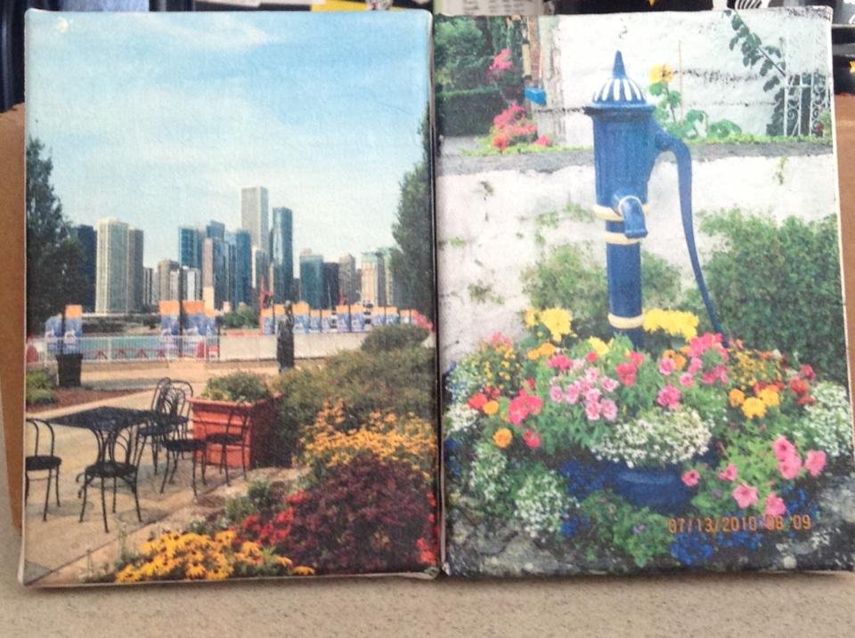 Sandra Engel's album, Mobile Uploads