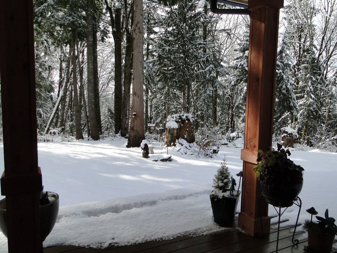 Coralee Green's album, Snow 2/2011