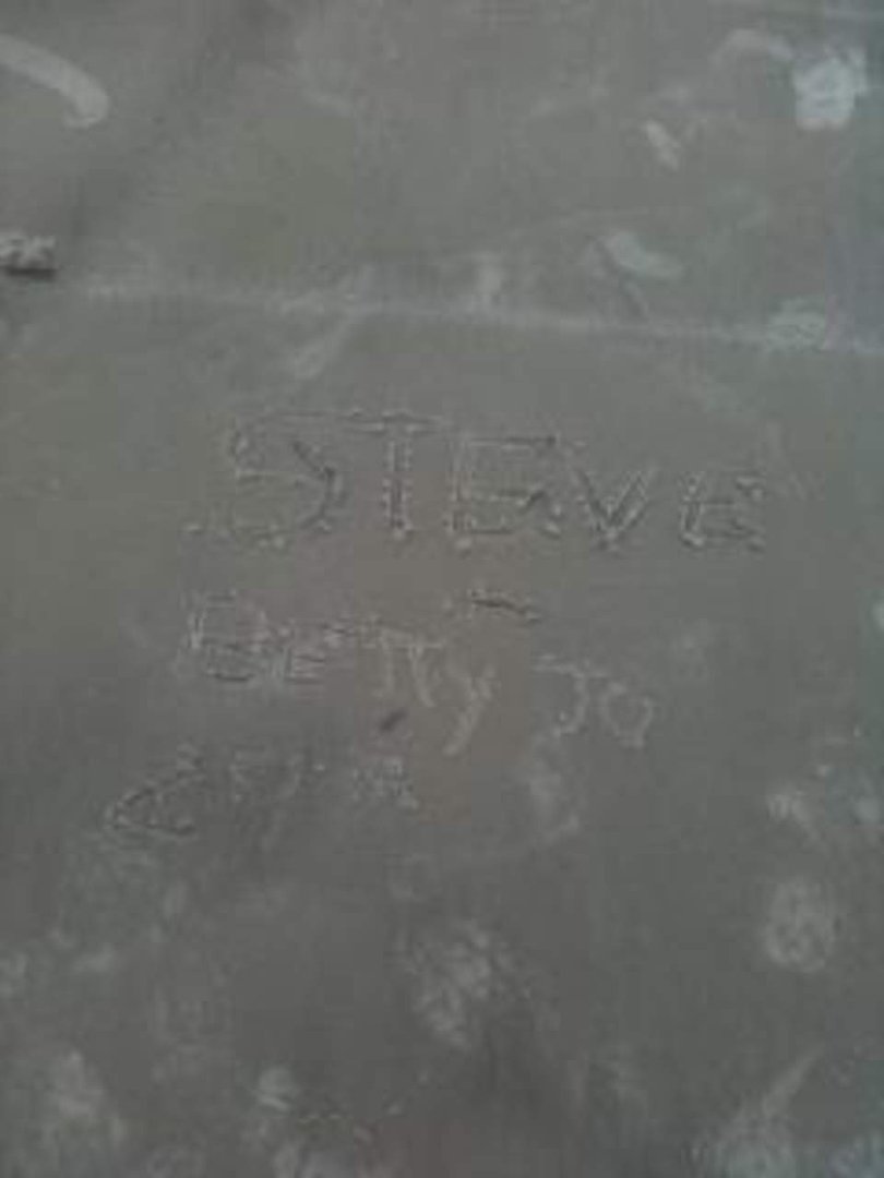 Steven Tyler's album, Mobile Uploads