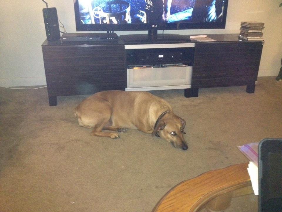 Tom Murren's album, iOS Photos