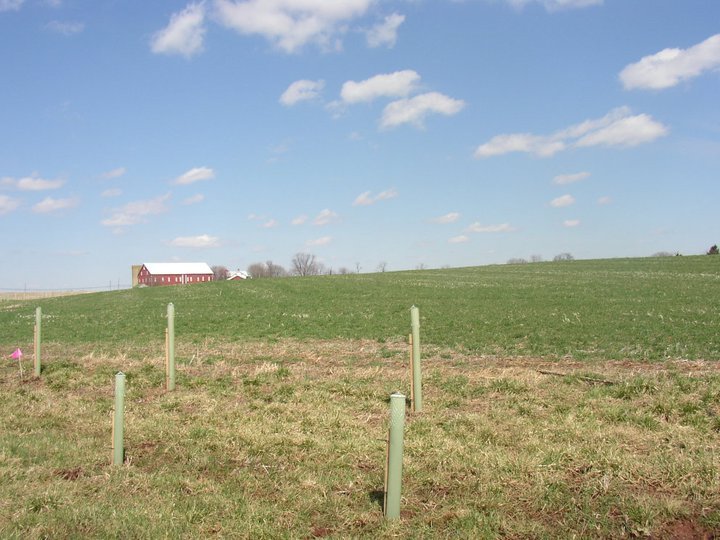 Earle Wilhide's album, MY FARMVILLE!