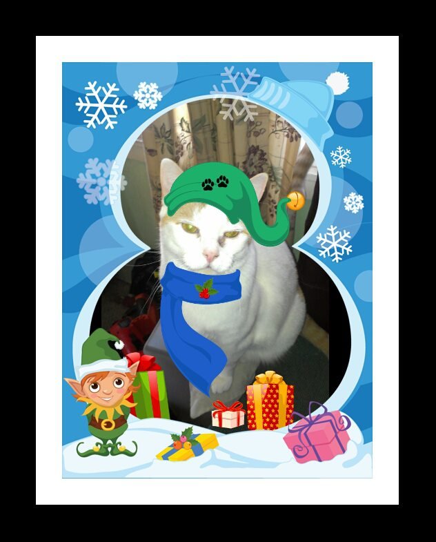 Debra Woerner's album, Mobile Uploads