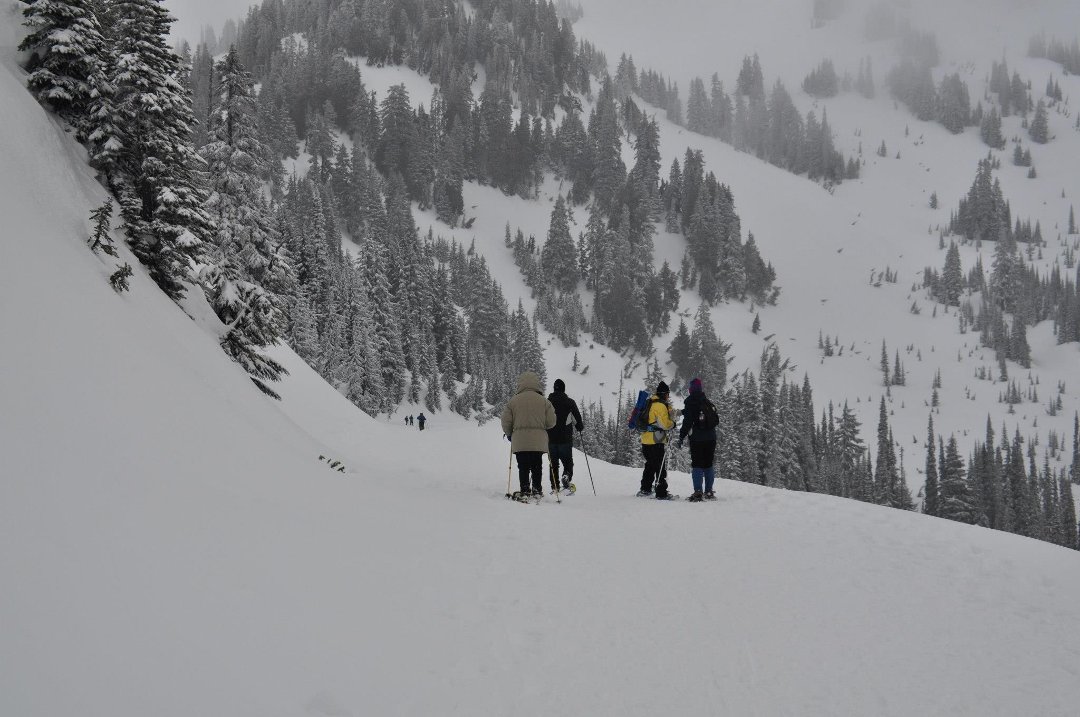 Paul Winters' album, Snowshoeing