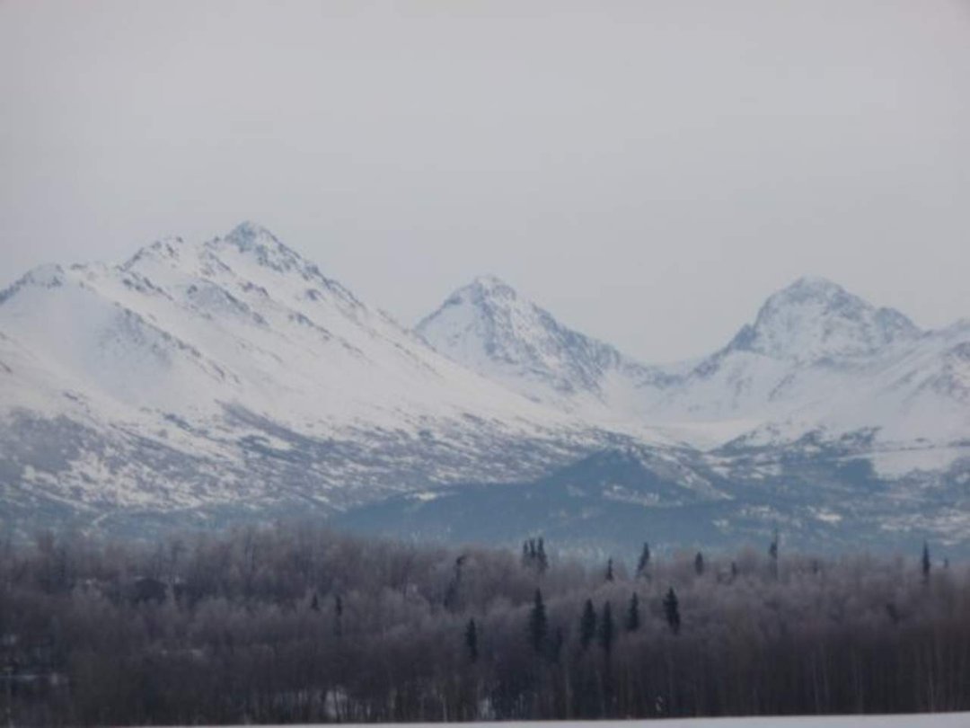 Robert Tepner's album, More Alaska