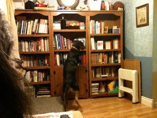 Lacey Techlowicz's album, iOS Photos