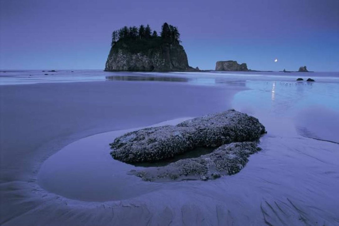 John Bohls' album, Cover Photos