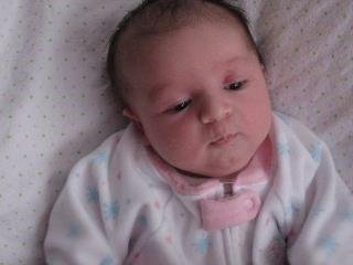 Michael Monaghan's album, Laila Marie