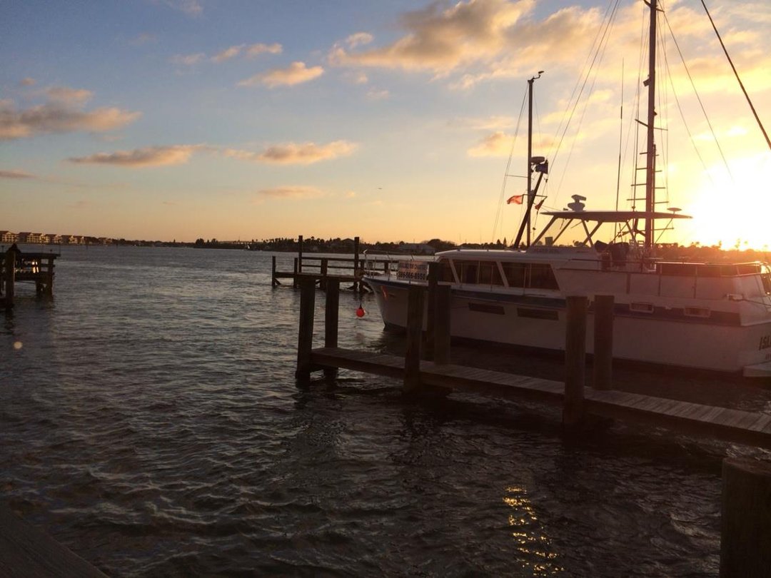 Terry McNerney's album, iOS Photos