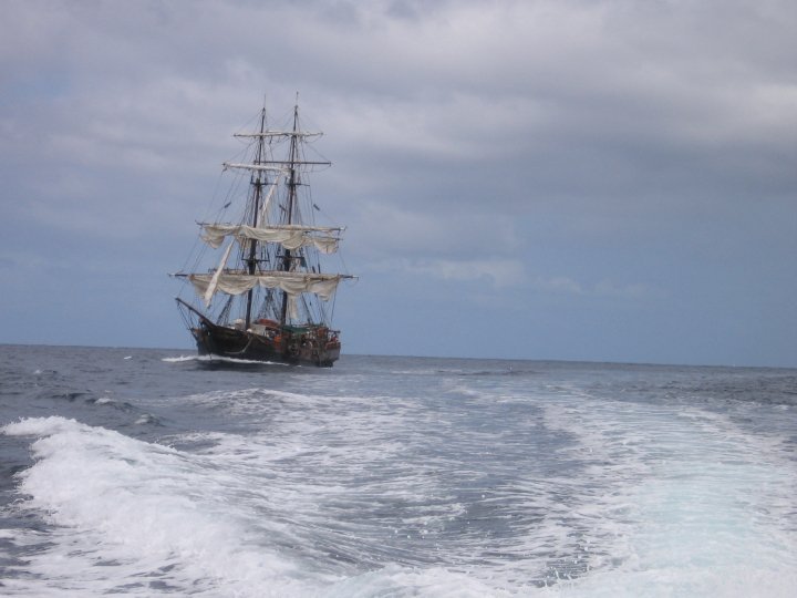 Jerry Chvarak's album, 2009 Cruise pics