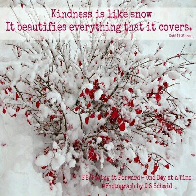 donna walden's album, Cover Photos