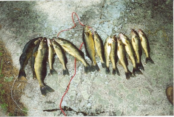 Bruce Robison's album, Fishing in Canada
