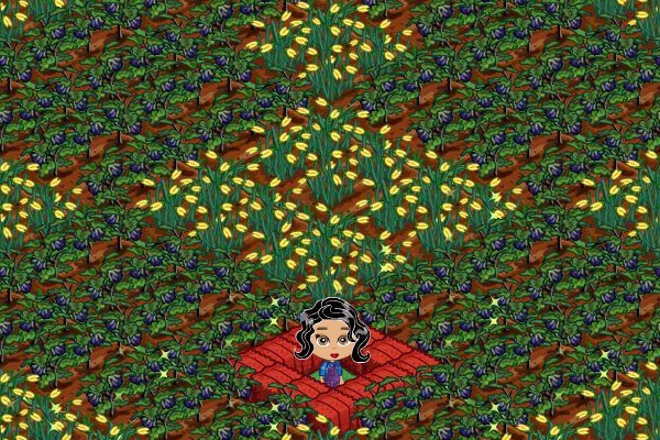 Loriann Wenzel's album, FarmVille Photos