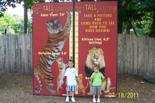 David Walters' album, Kids Visit Over the Summer