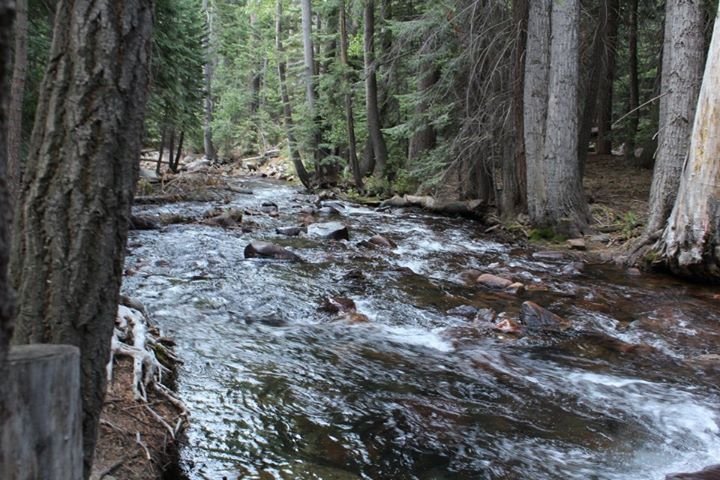 Cynthia Hare's album, Camping in Yosemite