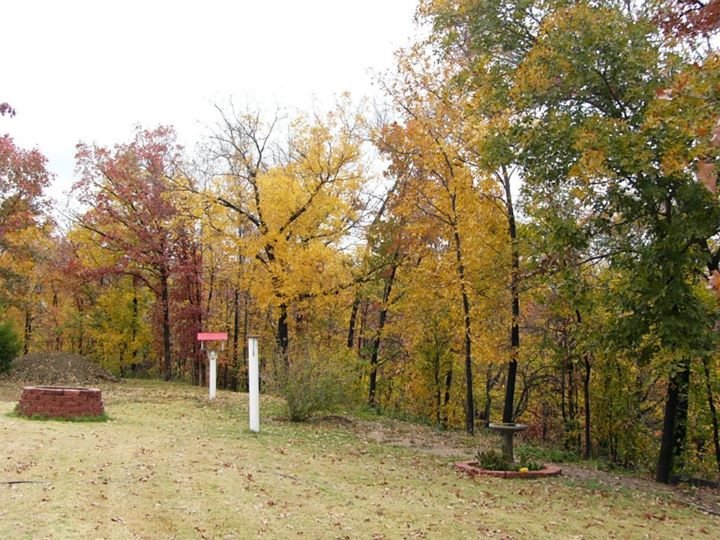 Terry Clark's album, Fall at the Clark house
