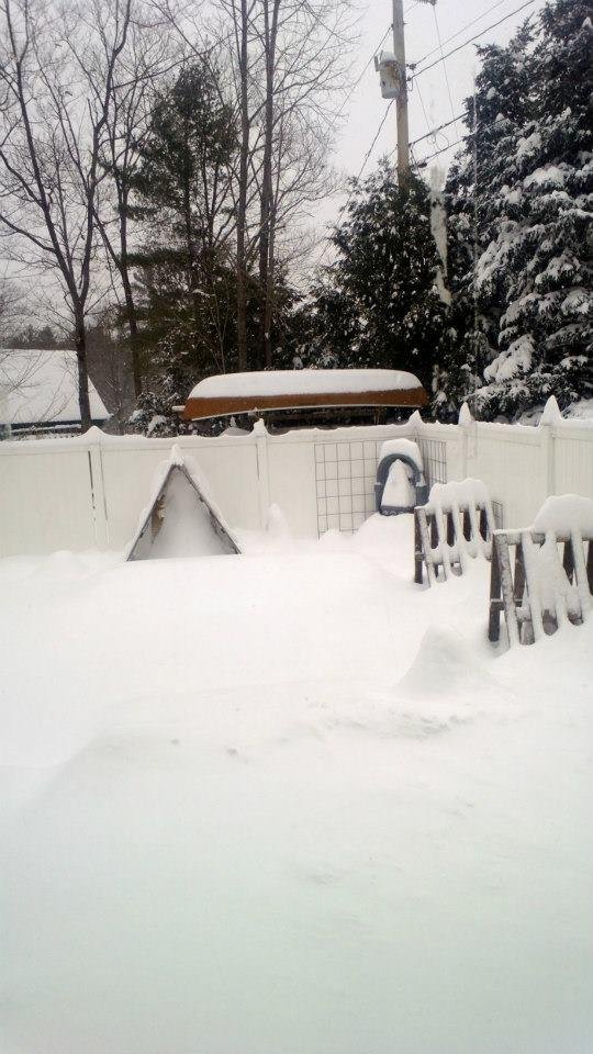 Robin Boynton's album, February 2013 Nor'easter