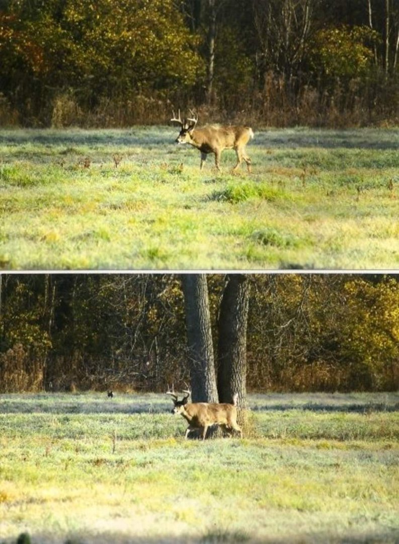 Debra Hensley-Lyons' album, Sugercreek Metro Parks
