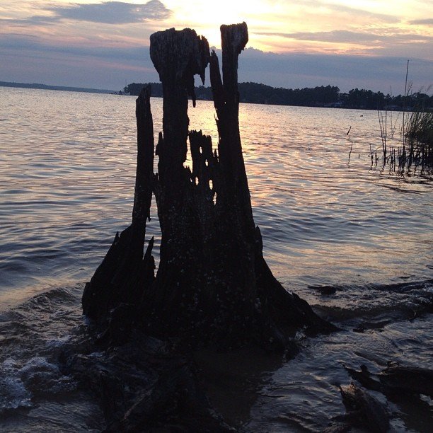 William Pappas' album, Instagram Photos