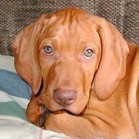 Kerry Benson's album, Profile Pictures