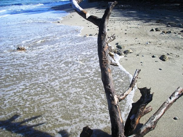 Deborah Millier's album, Puerto Galera 2009