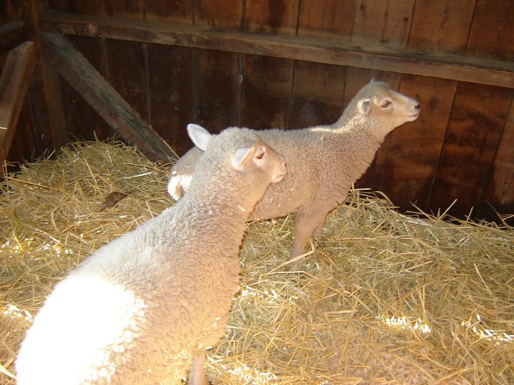 Kathy Focacci's album, My Photos