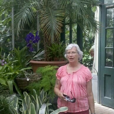 Deborah Riner's album, Mobile Uploads