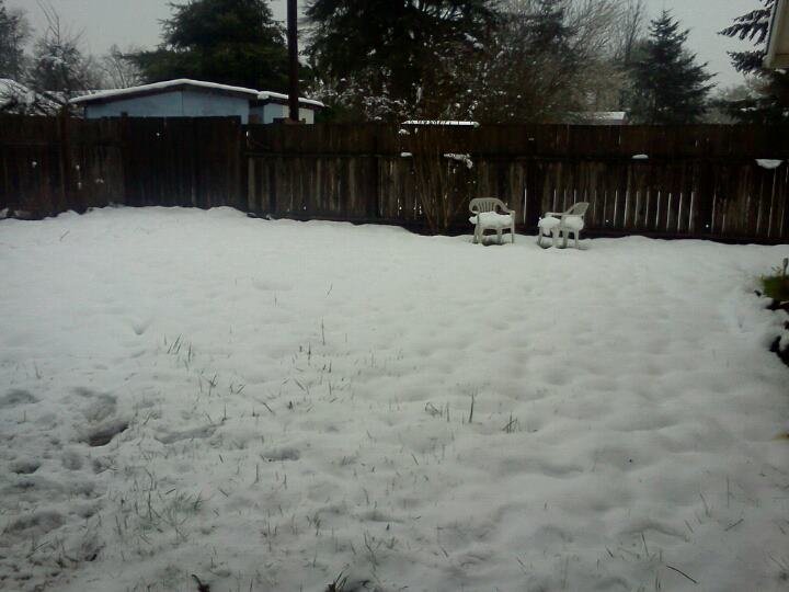 Annette Titus' album, LG Phone Photos