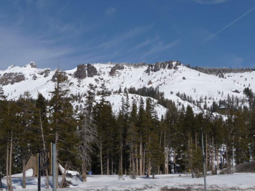 Robert Tepner's album, Feb 2010