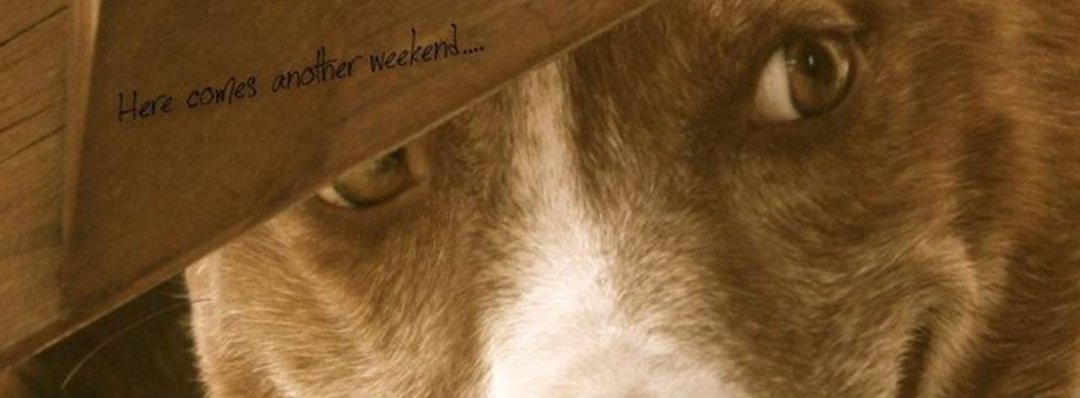 Julie Betts' album, Cover Photos