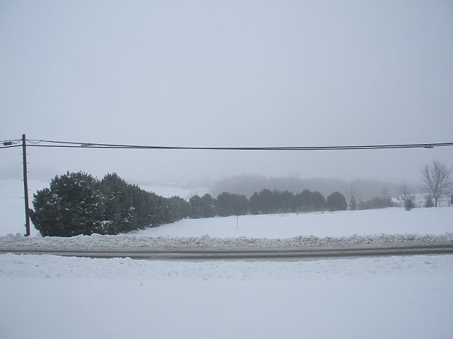 Randy Denniston's album, Cover Photos