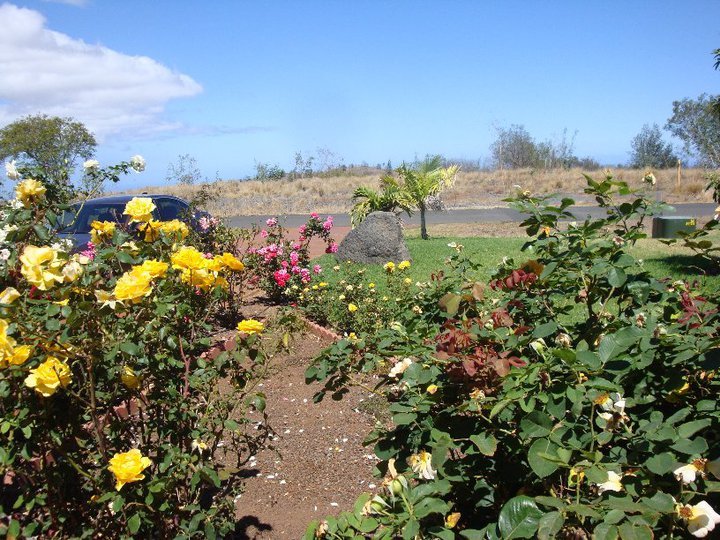 Barbara Biddle's album, Mauna Kea