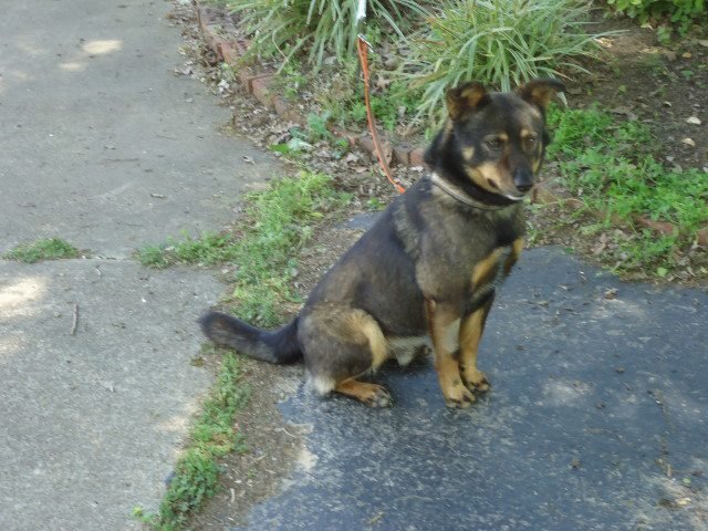 Donna Hackman's album, Benny