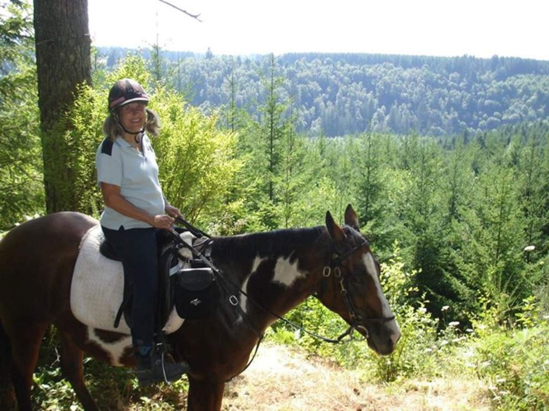 Carla Swearingen's album, August 2011 Horses