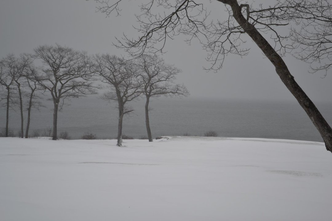 Kim Bernhardt's album, Cover Photos