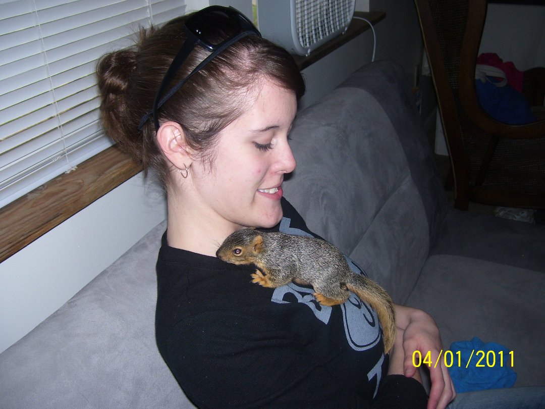 Vickie Streator's album, Kodak EasyShare