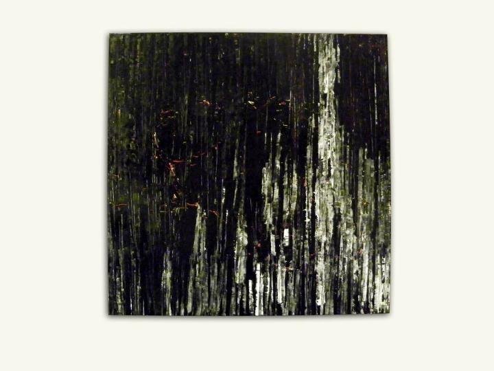 Ian Smith's album, Mobile Uploads