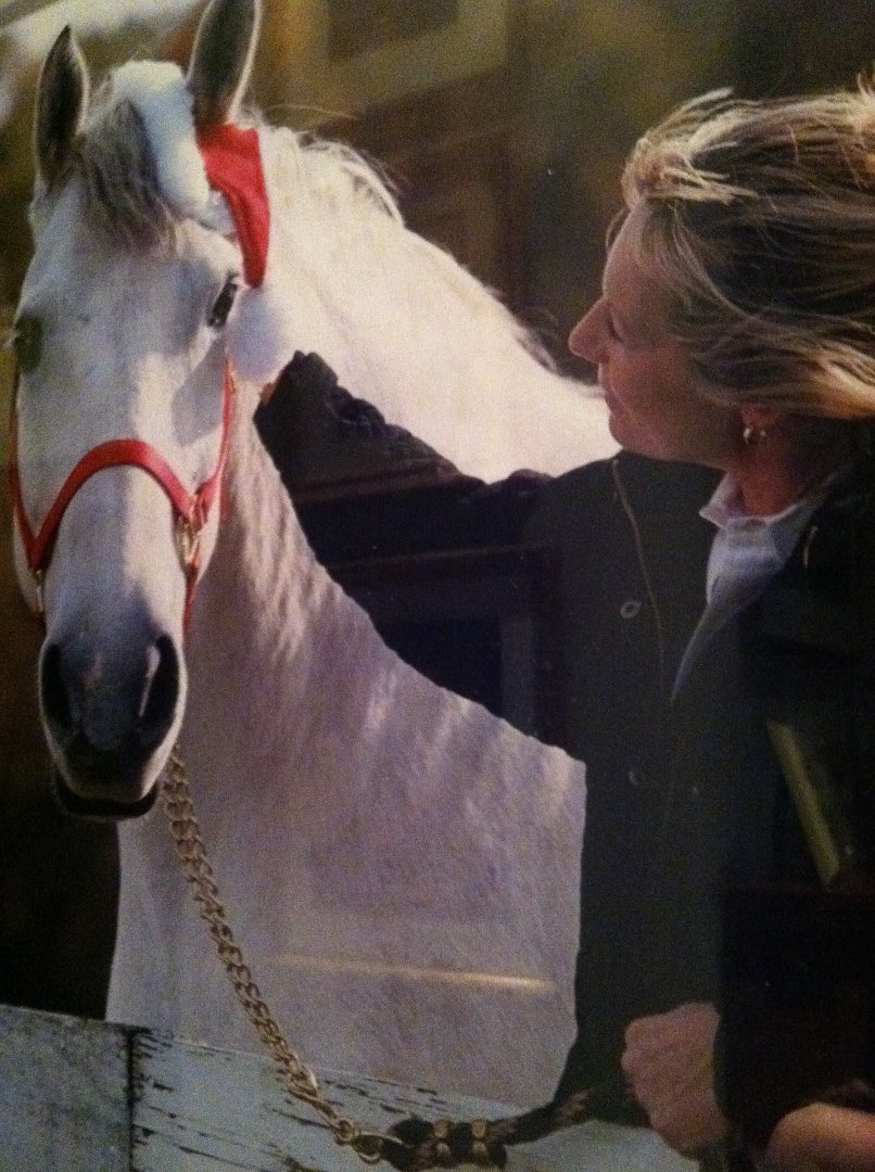 Paula Mitcherling's album, Profile Pictures
