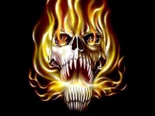 robert lippert's album, Profile Pictures
