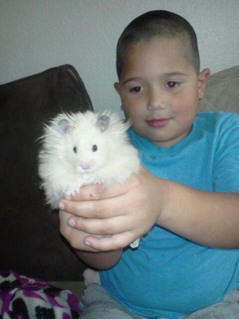 Diane Ramirez's album, Pictures of Grandchildren in 2012