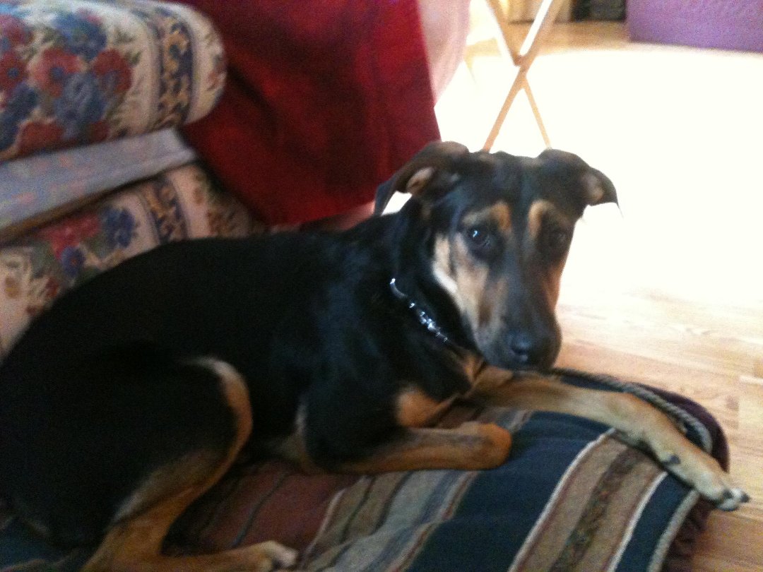 Lacey Techlowicz's album, Jade <3
